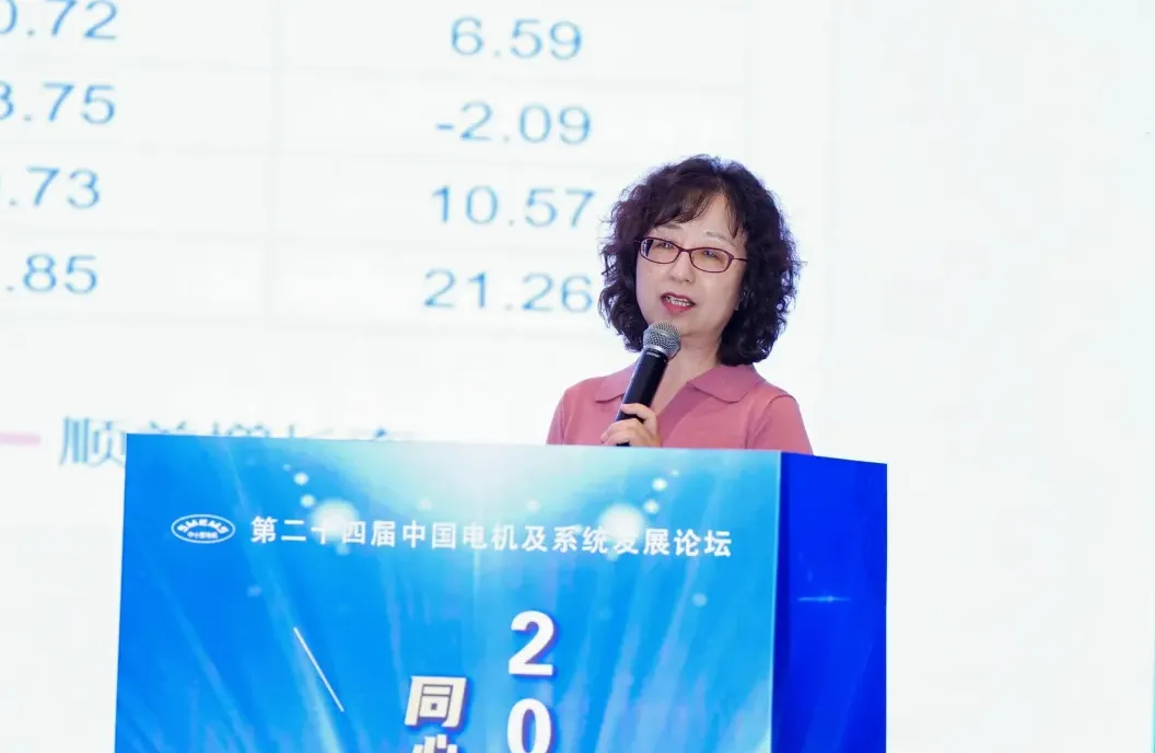 Сунь Фан — заместитель председателя и генеральный секретарь Китайской ассоциации промышленности общего машиностроения.